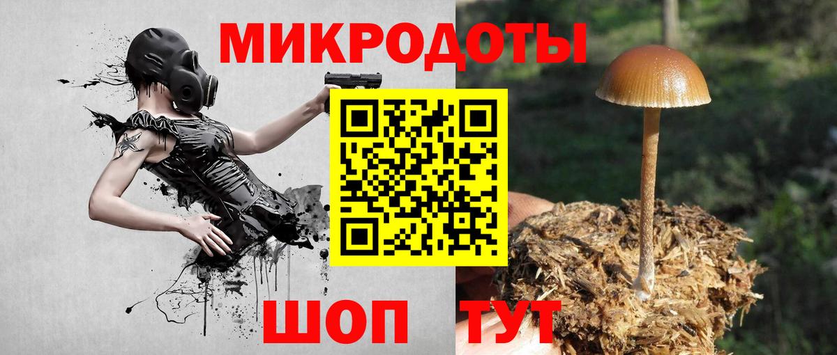 Псилоцибиновые грибы ЛСД  Вход с VPN  Биробиджан  Галлюциногенные грибы GOLDEN TEACHER 