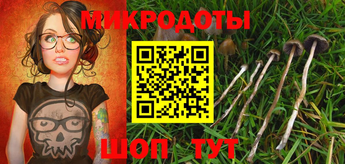 Галлюциногенные грибы Psilocybine cubensis Биробиджан